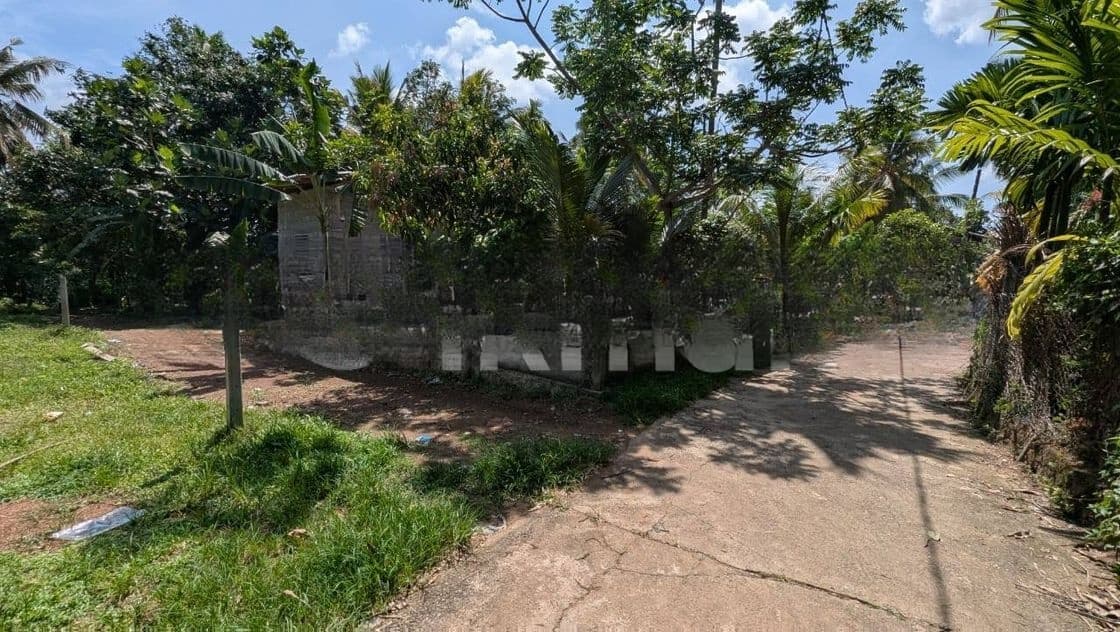 බියගමින් පර්චස් 10යි ඉඩම්