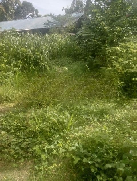 LAND FOUR SALE KELANIYA