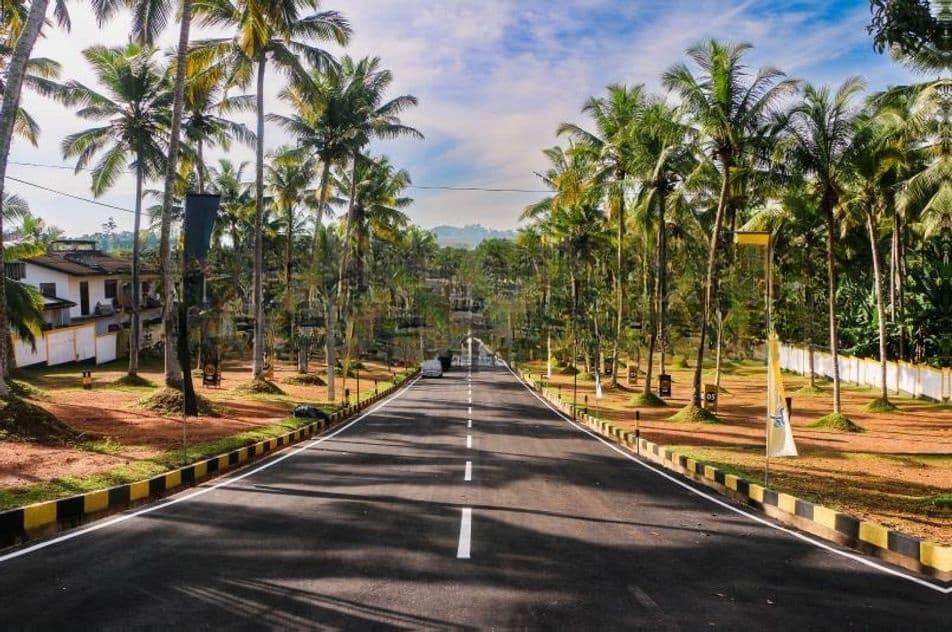 Land for Sale Homagama