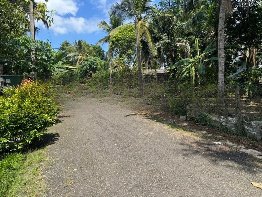 400M To Colombo Road Superb Land for Sale in Piliyandala