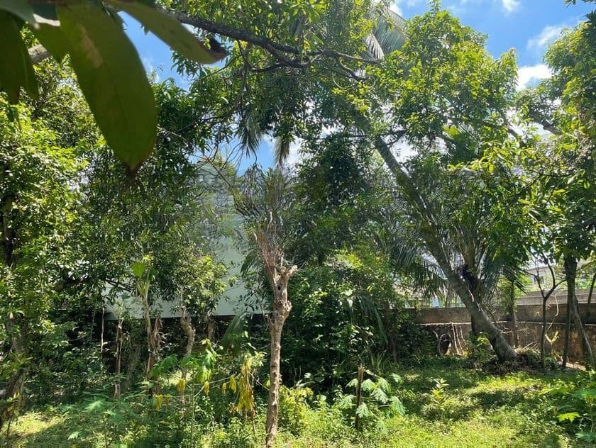 Super Land for Sale in Subuthipura Battaramulla Ds31310