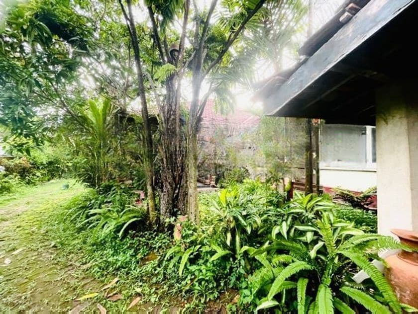 55 P Land for Sale in Mount Lavinia