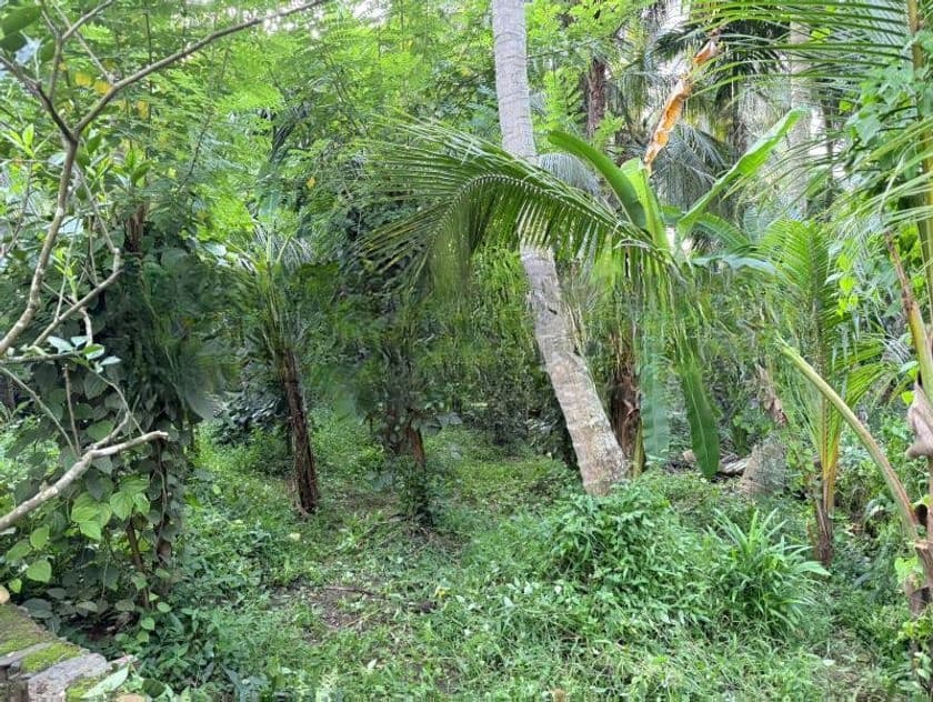 Land for Sale in Kandy