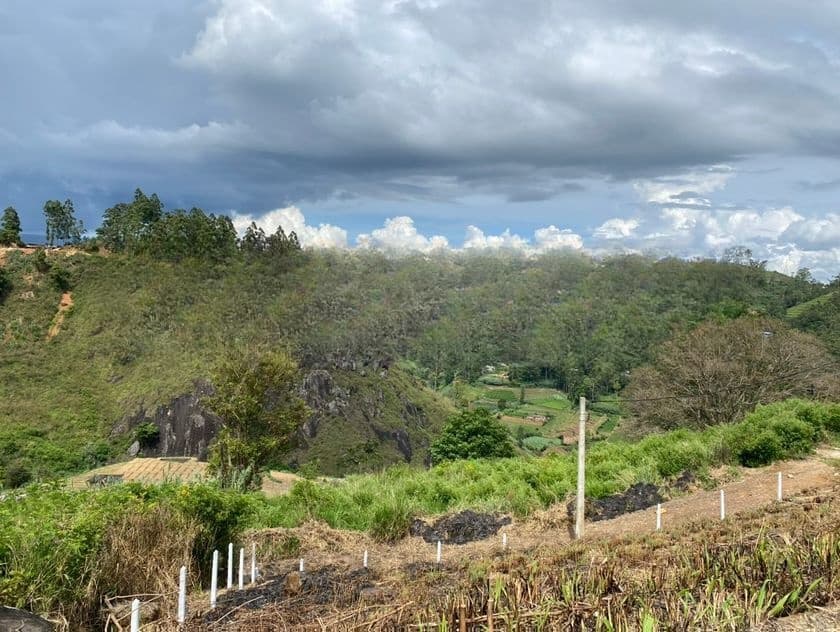 Residential Land for Sale in Boragas, Nuwara Eliya
