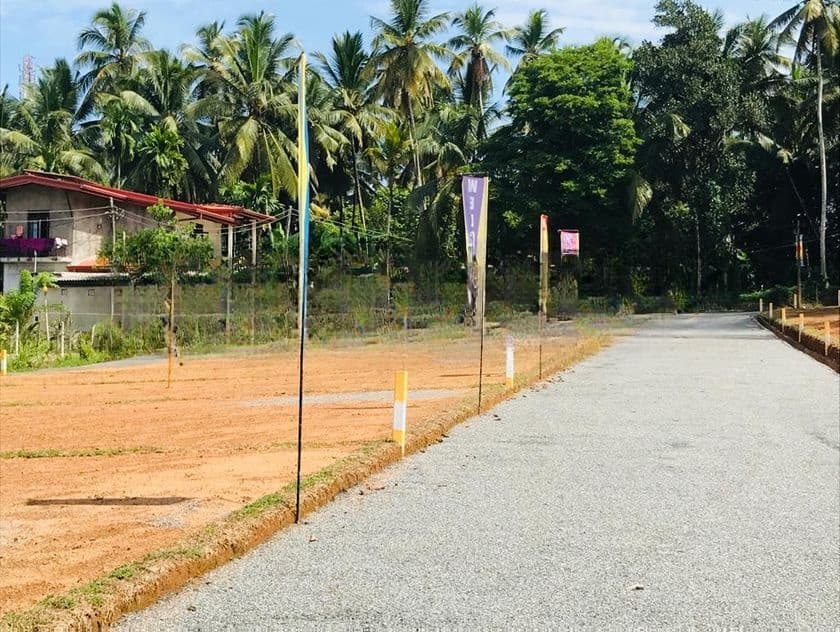 ඉඩමක් හෝමගම