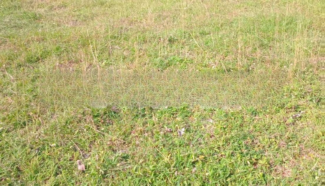 Colombo 9 : 93 perches Commercial Land for Sale facing Maradana road