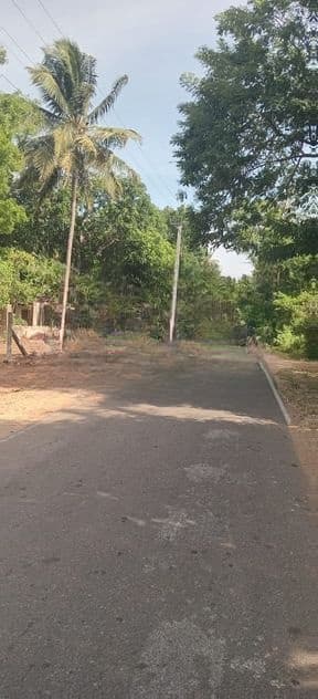 Land for Sale in Anuradapura