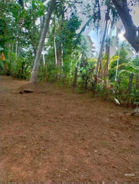 Prime Investment Opportunity in Pitipana, Homagama! - KO-29