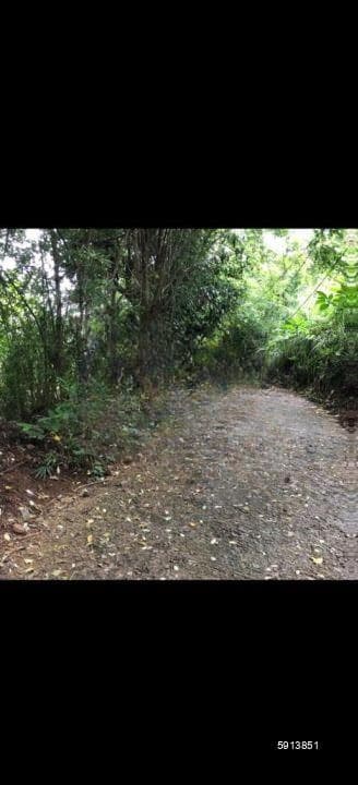 Prime Residential Land for Sale – Aniwatte, Kandy City Limits
