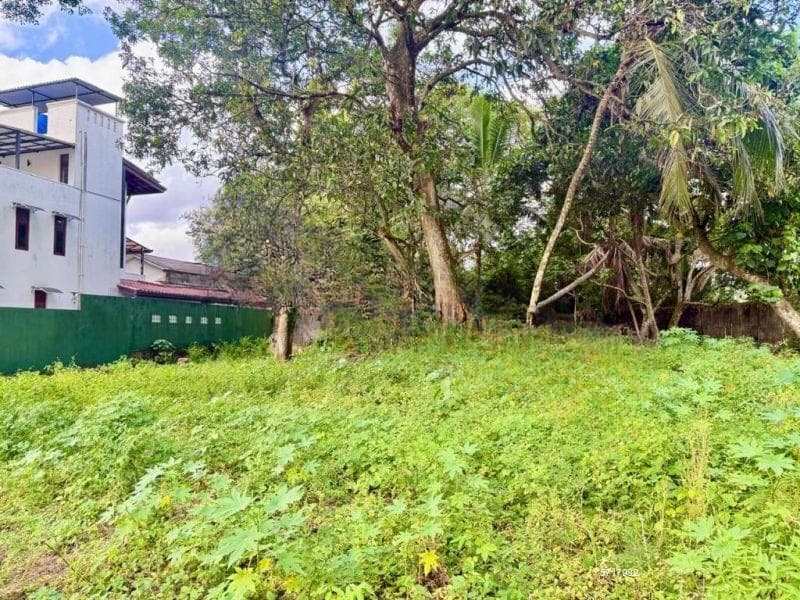 Land for Sale in Pelawatta