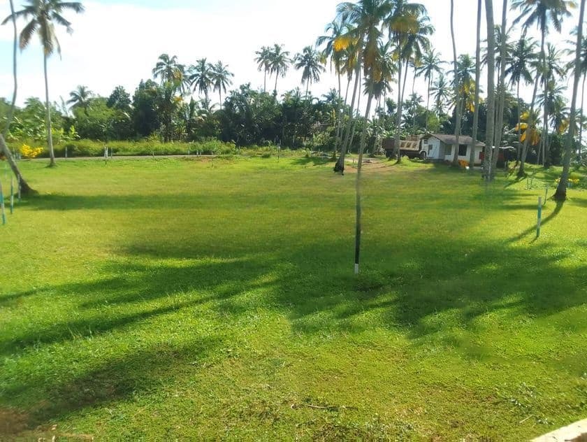 Best Land for Sale in Polgahawela S