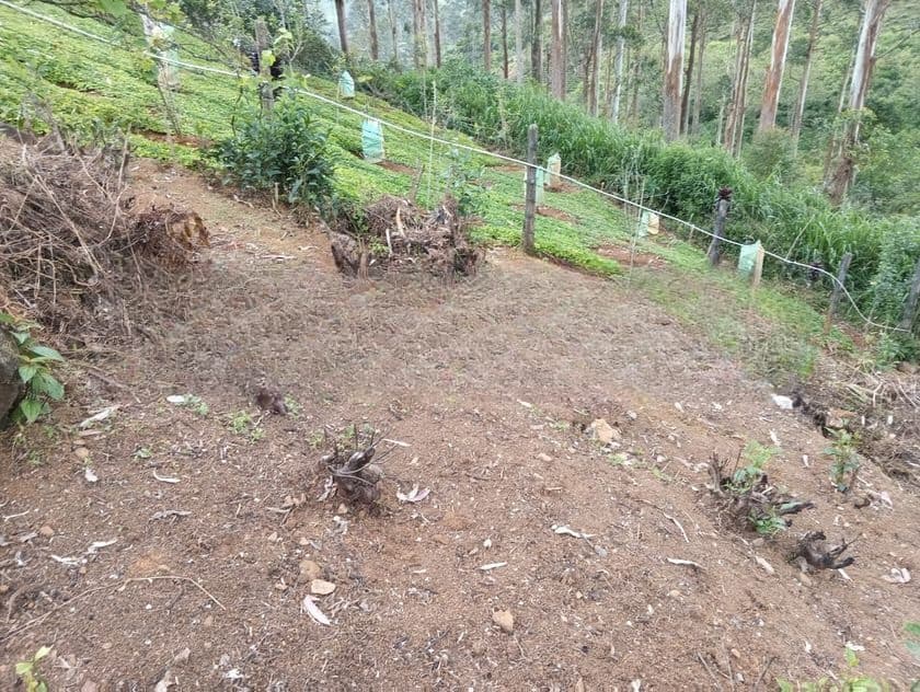 40P – Prime Residential / Leisure Land for Sale in Lindula | SL14687