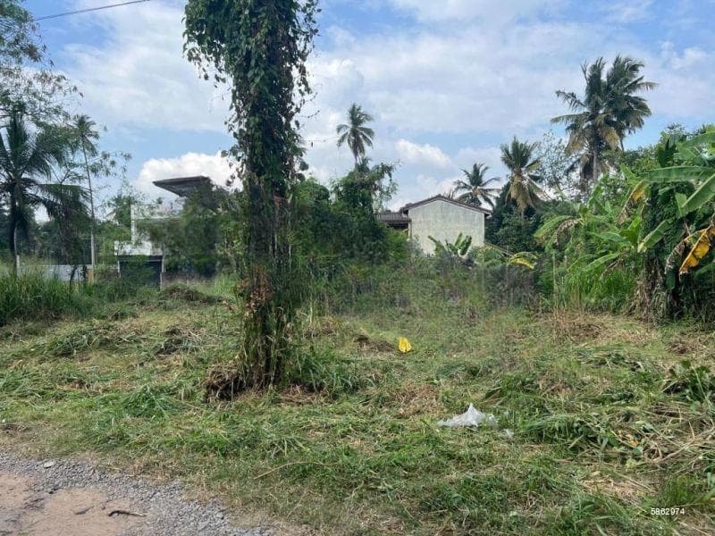 Land For Sale in Bandarawatta - Gampaha (SSPL-247)