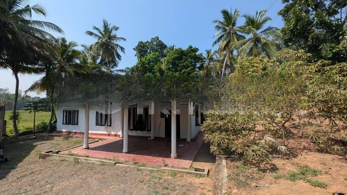 වෙල්යායට මුහුණලා වටිනා නිවසක්