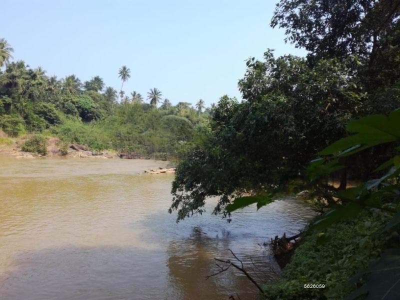 Negombo/ Kotadeniyawa 07 Acres Coconut Estate For Sale , Faceing Maha Oya River. ( Gampaha district )