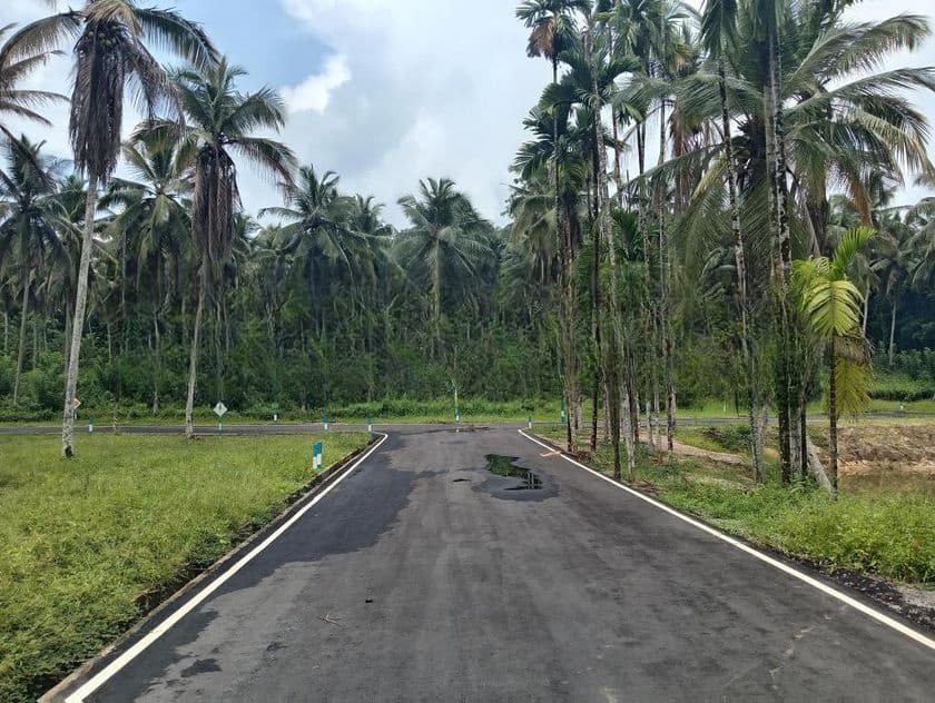 Coconut Land for Sale in Thalagala