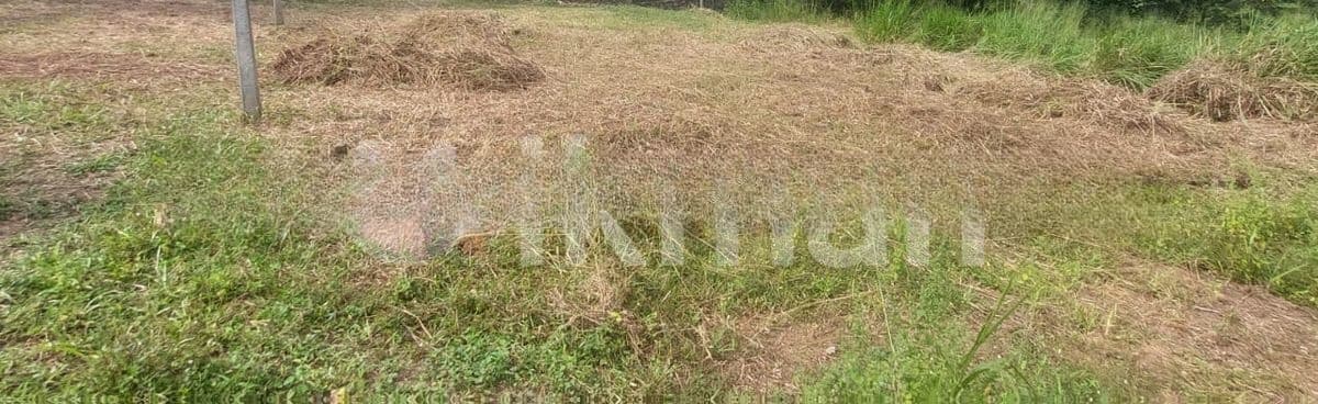 Negombo : 96.4 perches Land for Sale