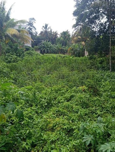 Land for Sale Kadawatha