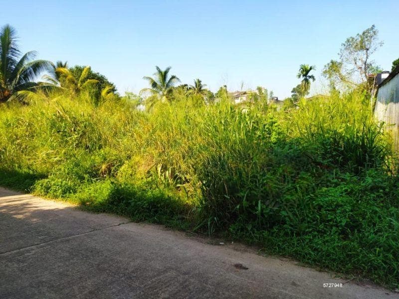 7.5p Bare Land For Sale In Pamunuwa, Maharagama (SL 14479)
