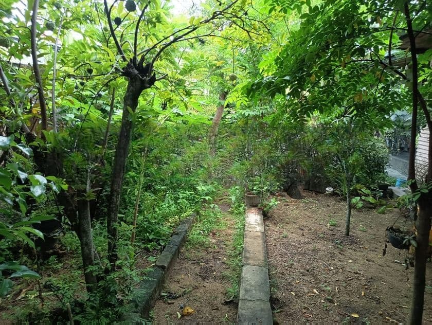 Rajagiriya, Park Lane 19.75 Perches of Land & Livable House for Sale