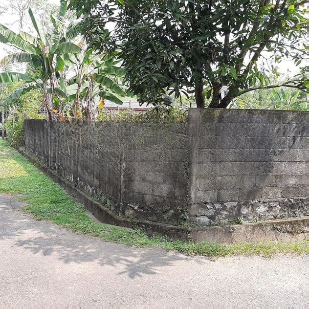 12. පචස් අනර්ඝ ඉඩමක් කොට්ටාවෙන්