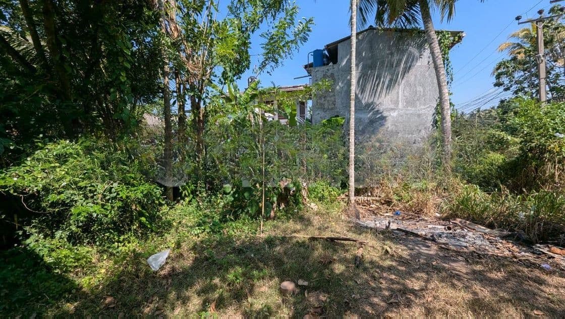 හපුගොඩ – කඳාන අඩි 20 කාපට් පාරට මායිම් ඉඩම විකිණීමට