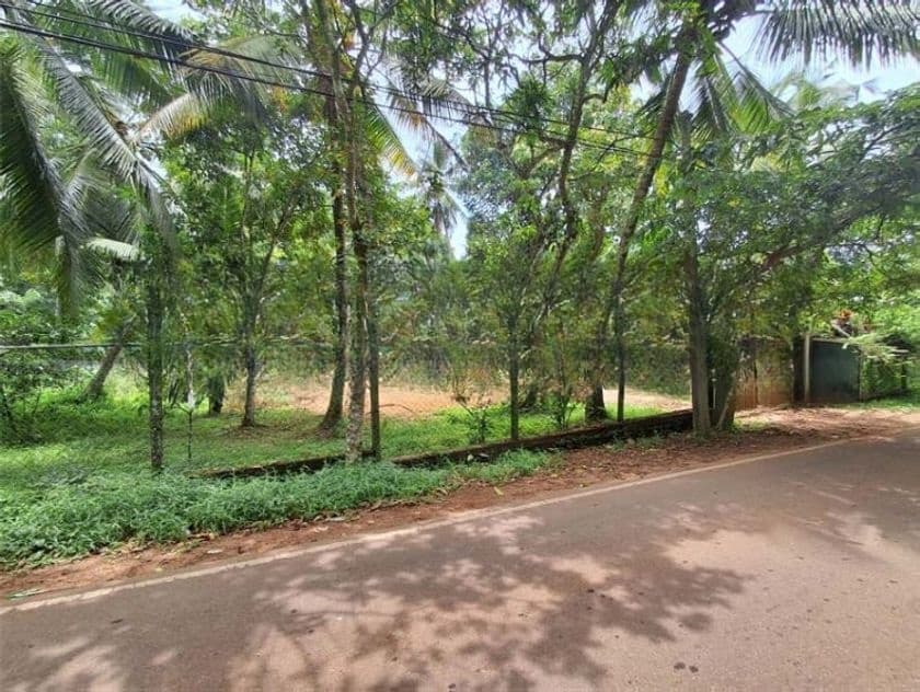 Residential Land for Sale Thammita