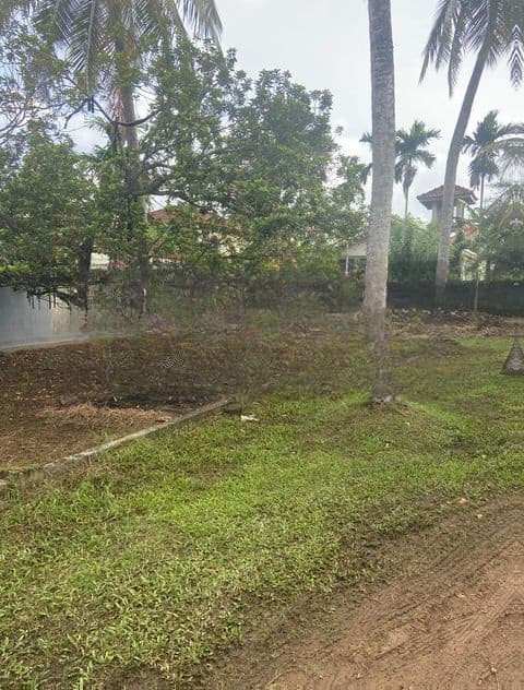 40perch Land with House for Sale in Dalupatha, Negombo