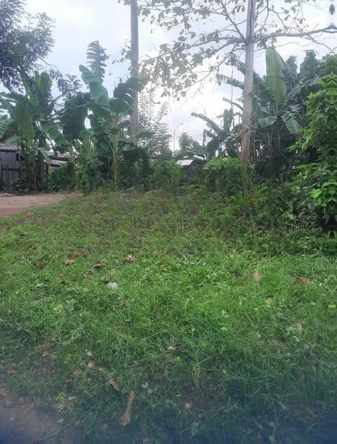 Land For Sale In Boralesgamuwa දිවුලපිටිය