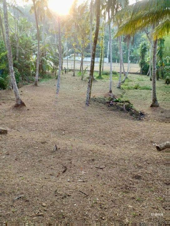 40P Bare Land for Sale in Duwatemple Road, Kaluthara South (SL 14603)
