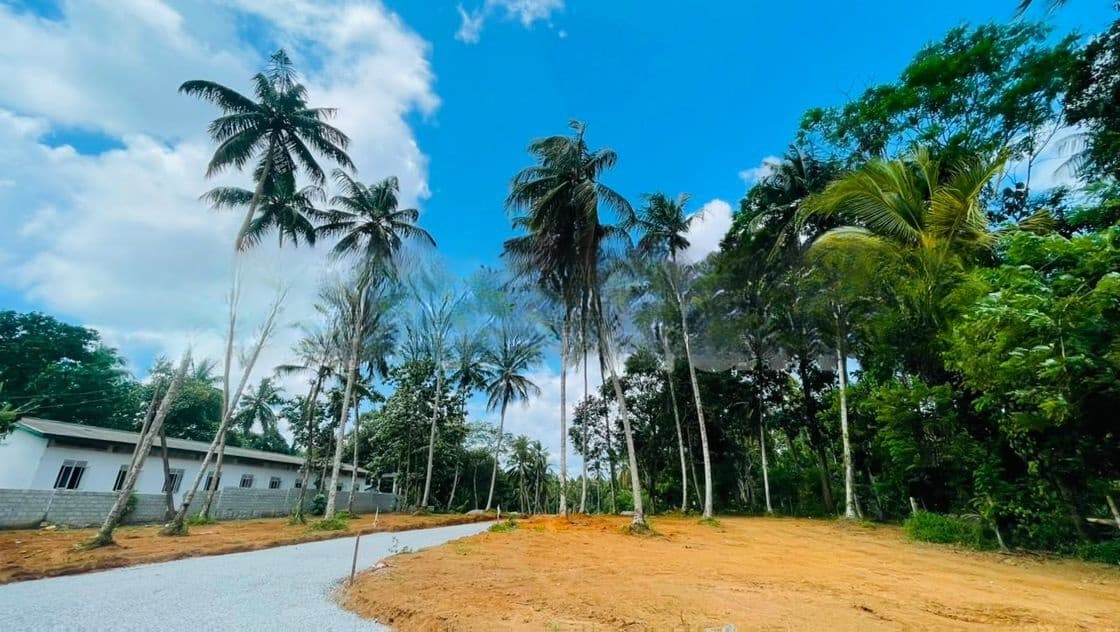 යක්කල නුවර පාරට ඇවිදින දුරින් හොඳ ඉඩමක් විකිණීමට