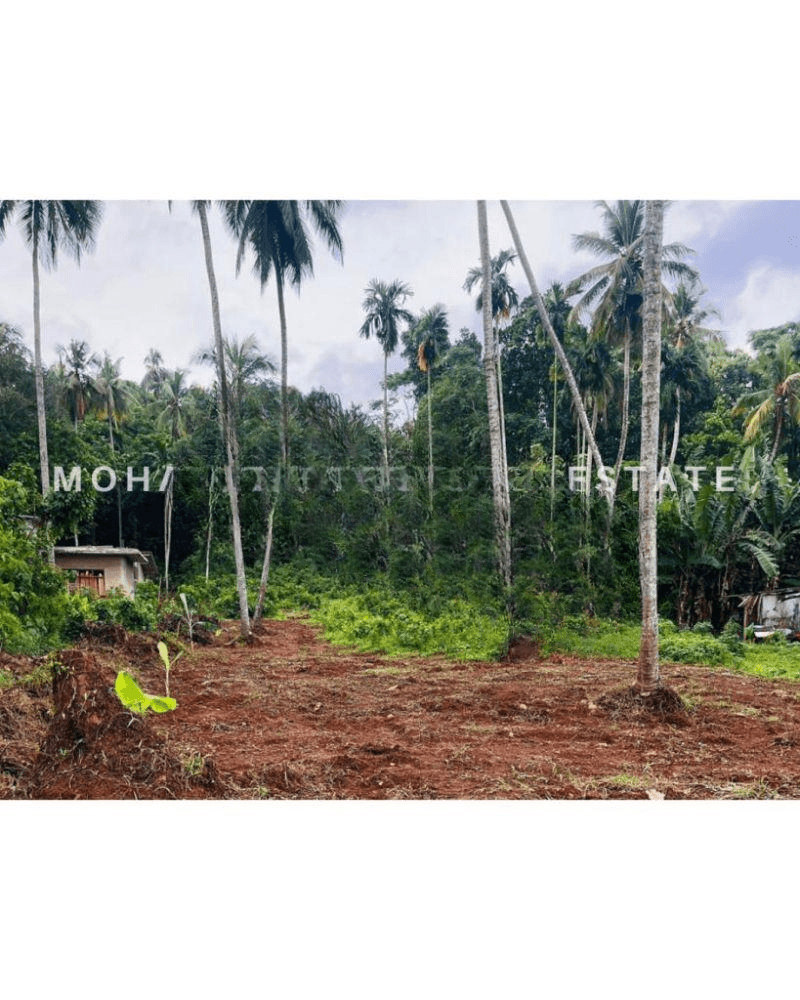 Land For Sale Mirigama Kotadeniywa - Halloluwa