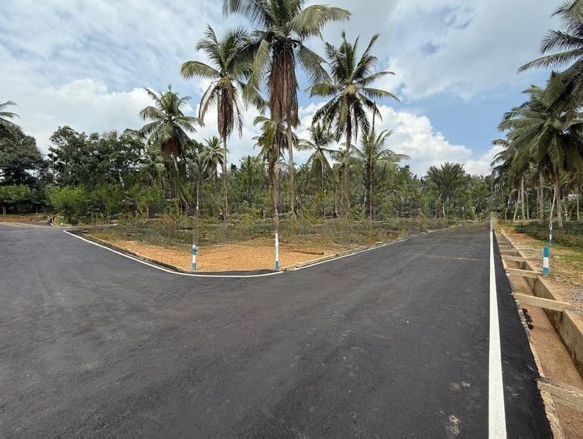 Agricultural and Residential purposes Land for sale in Homagama
