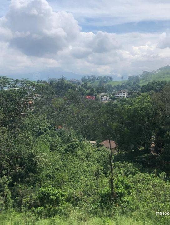 Scenic Hillside Land for Sale in Heerassagala, Kandy