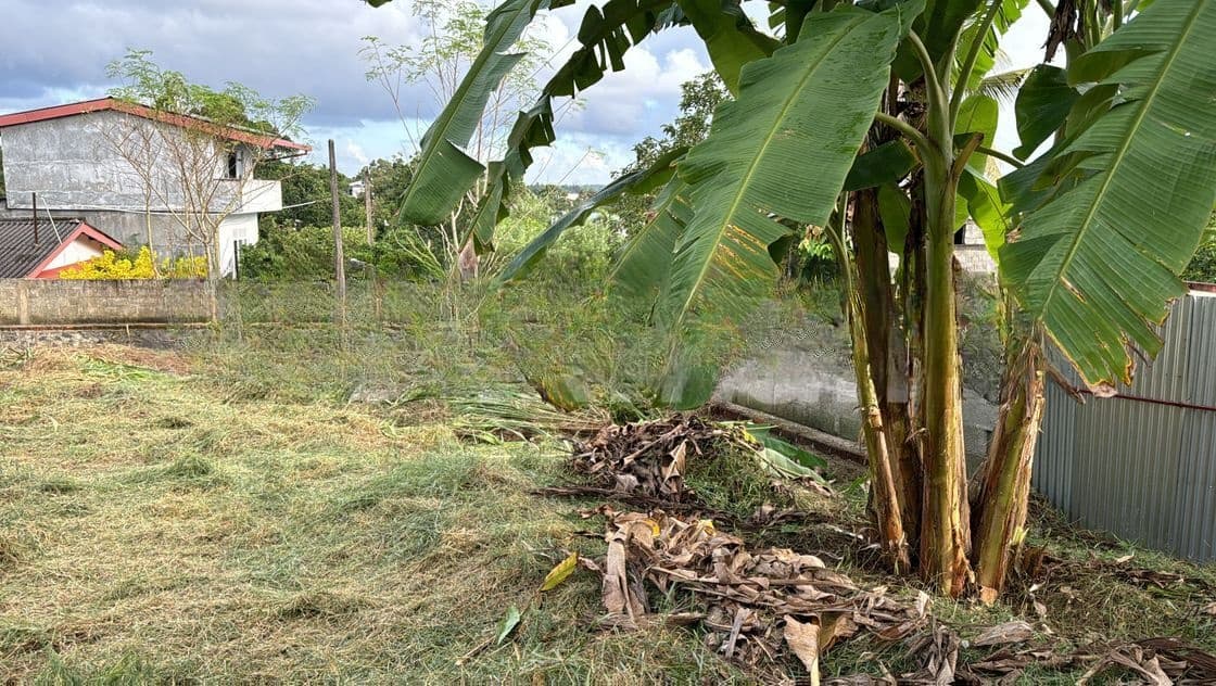 Land for Sale Malabe