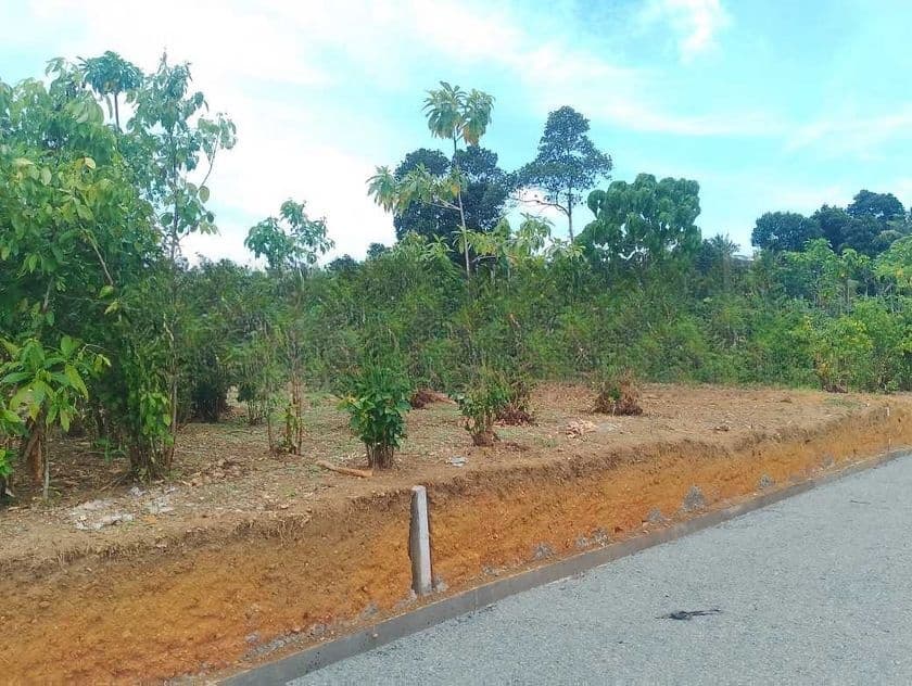 Land for Sale in Aluthwala