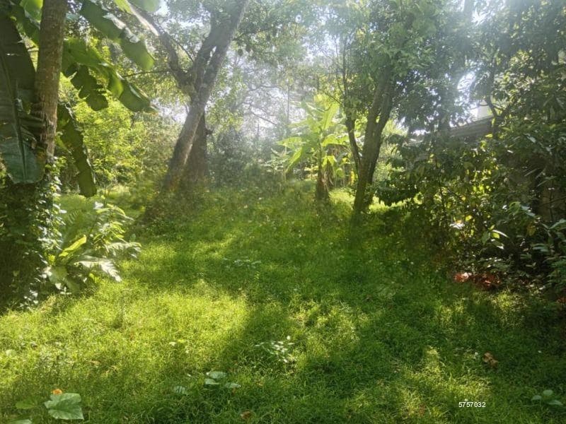 Kotte Sri Jayawardenapura Angampitiya Road 36 Perch Excellent Residential Land for Sale