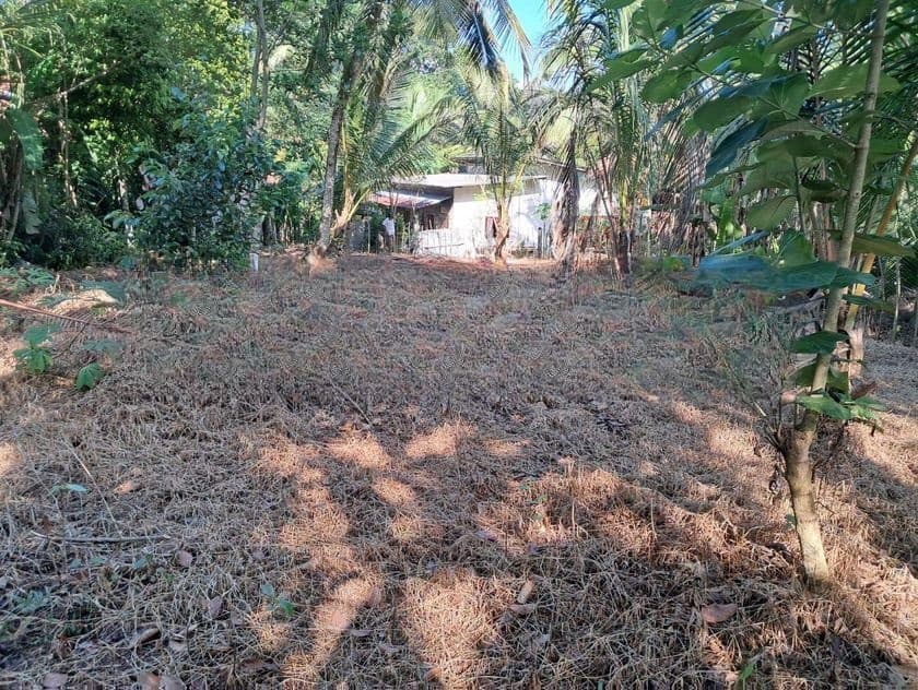 Gampaha Land for Sale