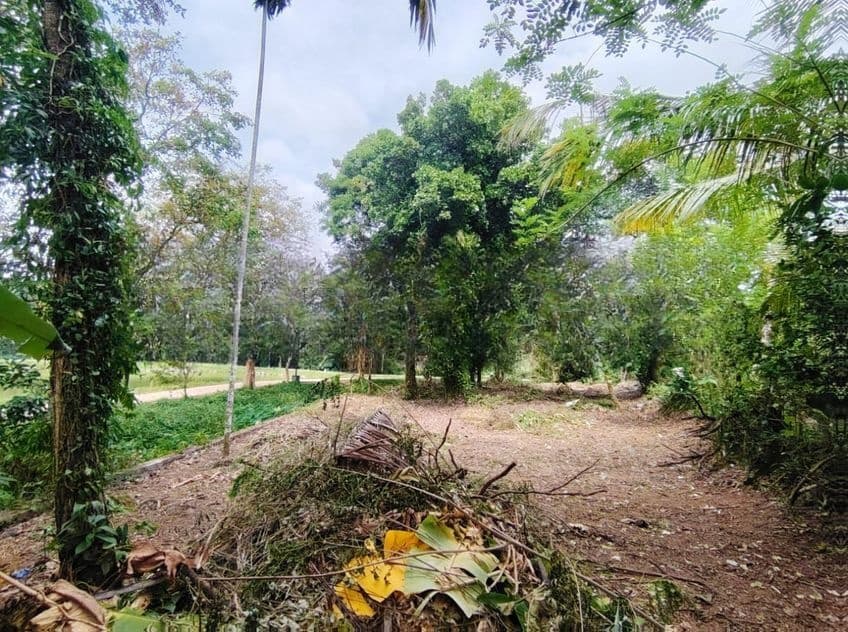 ( SDS-342) Valuable Residential Bare Land Sale in Kottawa