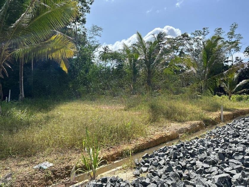 පින්නදූව අදිවේගී පිවිසුමට ලගින්ම බිම් කොටස්