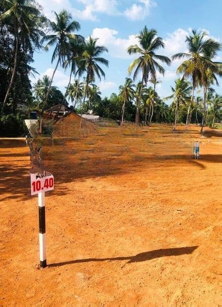 Valuable Land for Sale in Attanagalla P6