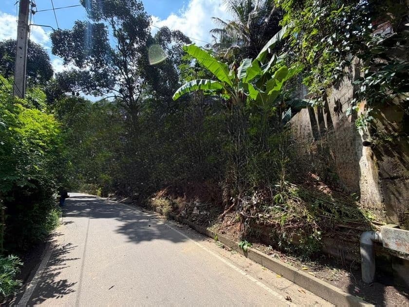 Valuable Land for Sale in Walala, Menikhinna – Close to Kandy City