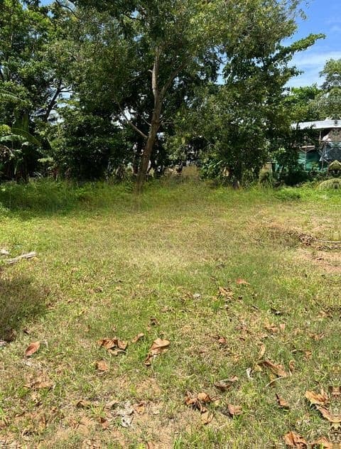 Land sale in kalubowila