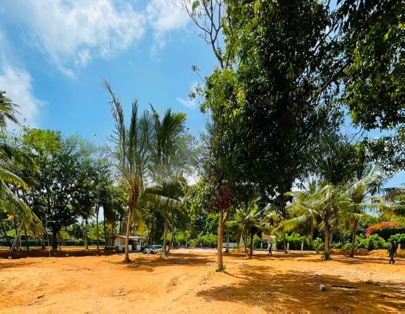 මිදිගම සර්ෆින් බීච් එකට 70M දුරින් පිහිටි වටිනා ඉඩමක්