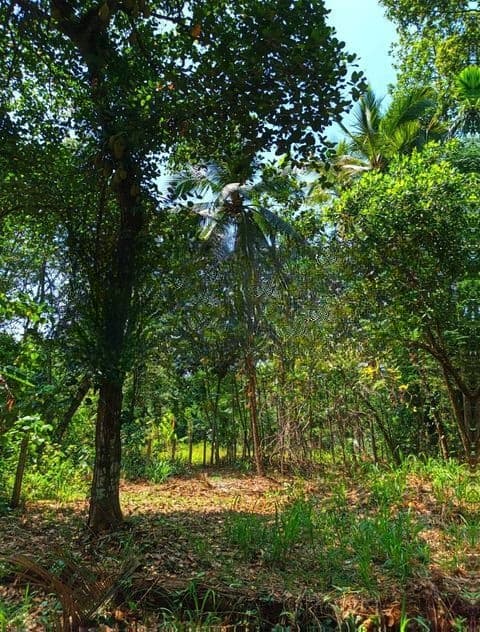 උඩුගම්පොළ – වීදියවත්තෙන් වටිනා බිම් කොටසක් /KM 10701