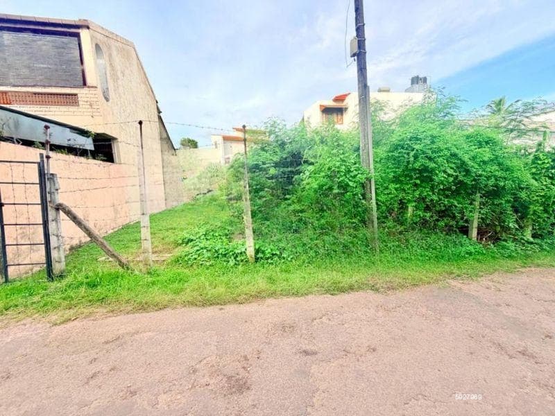 Nawala Highly Residential Location Land For Sale