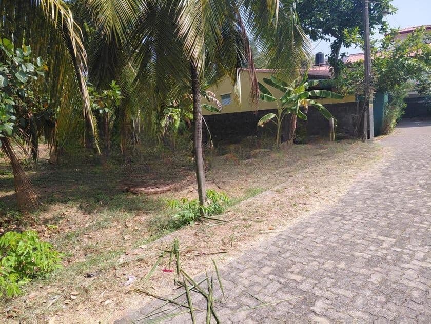 High Residential Land for Sale Boralesgamuwa