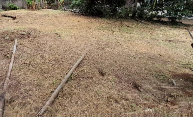 Land For Sale In Wijayaba Mawatha –code Add 976