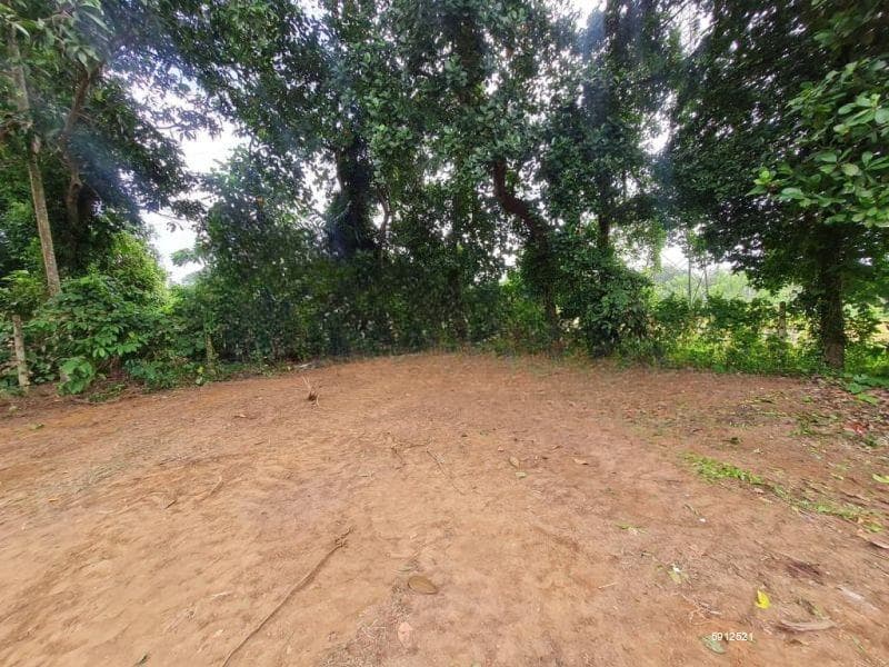 Bare land for sale in Maharagama - Rs. 1.8 Million per perch