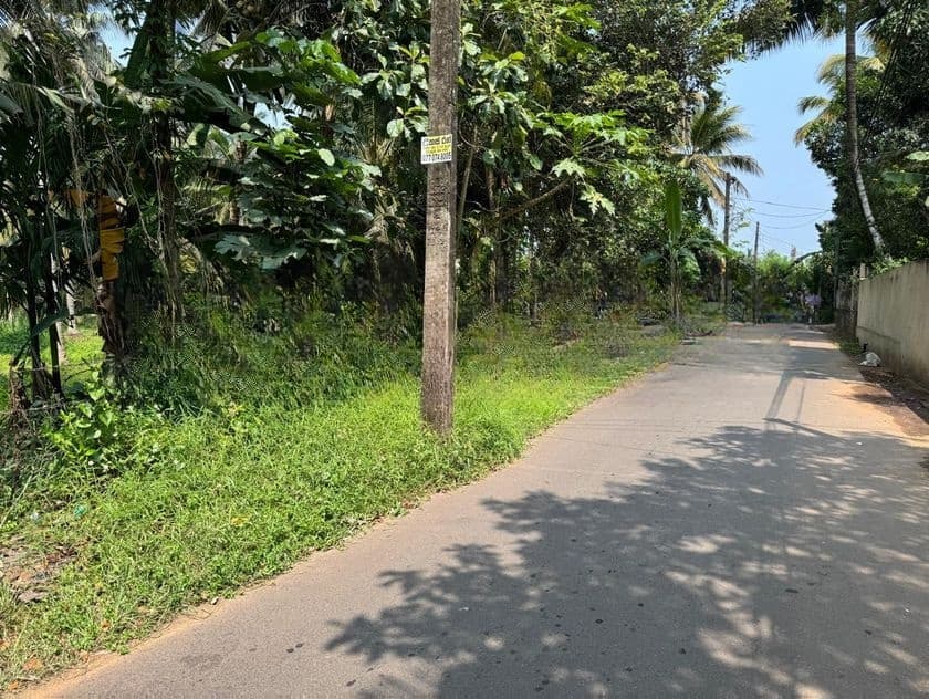 පදිංචියට වීමට කදිම ඉඩමක් විකිණීමට - Piliyandala Dampe